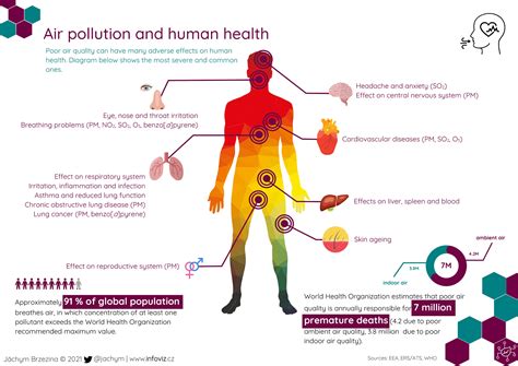 what are the health effects of unhealthy air quality